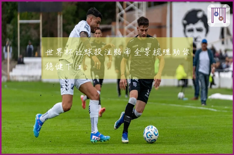 世界杯让球投注赔率全景梳理助你稳健下注