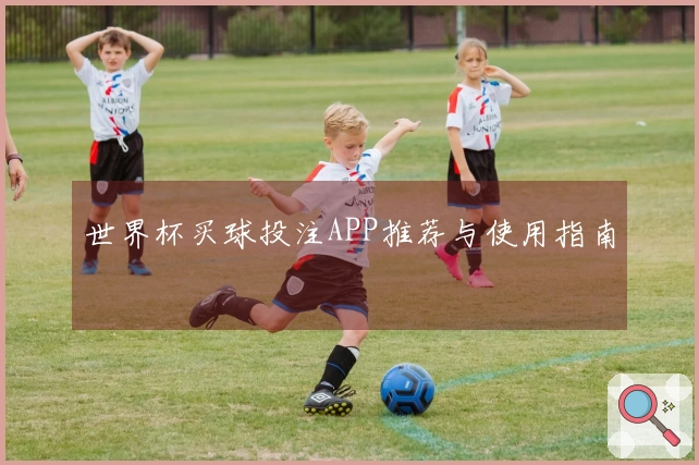 世界杯买球投注APP推荐与使用指南