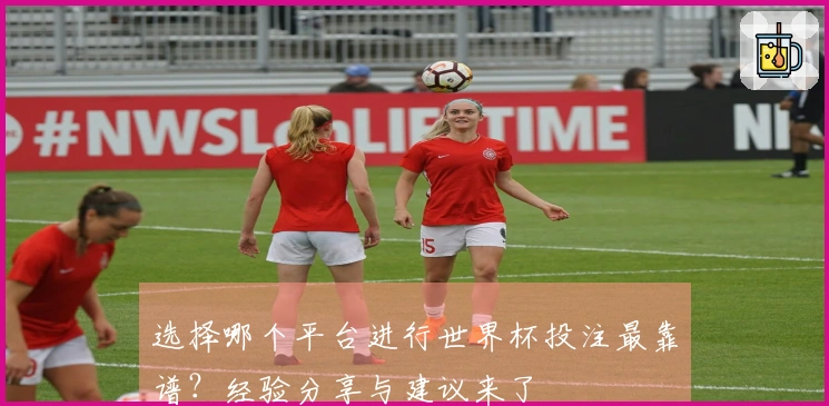 选择哪个平台进行世界杯投注最靠谱？经验分享与建议来了