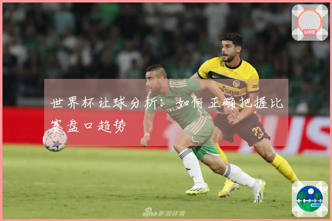 世界杯让球分析：如何正确把握比赛盘口趋势