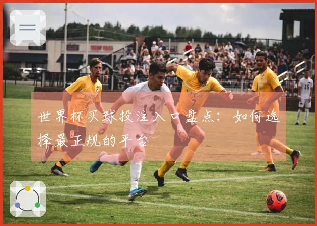 世界杯买球投注入口盘点：如何选择最正规的平台