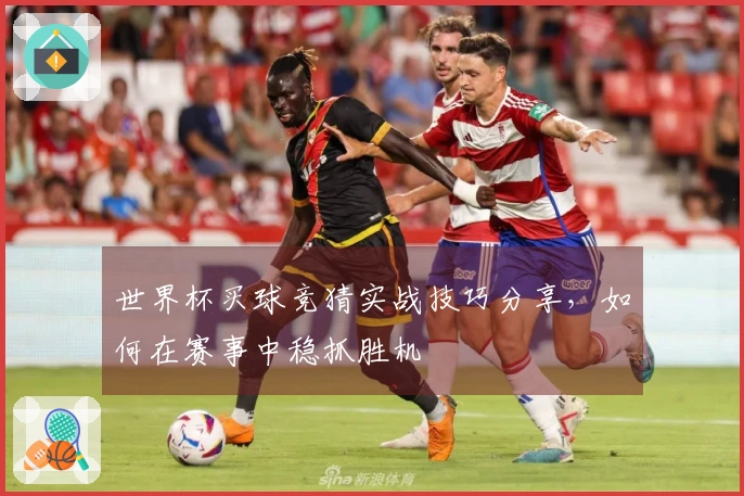 世界杯买球竞猜实战技巧分享，如何在赛事中稳抓胜机