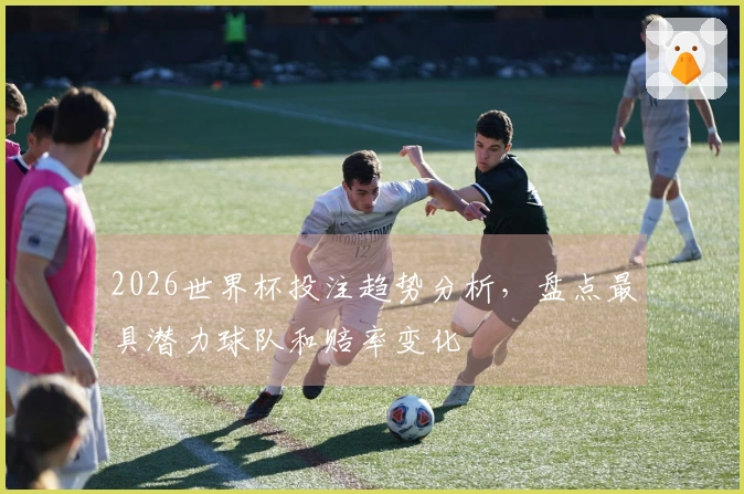 2026世界杯投注趋势分析，盘点最具潜力球队和赔率变化