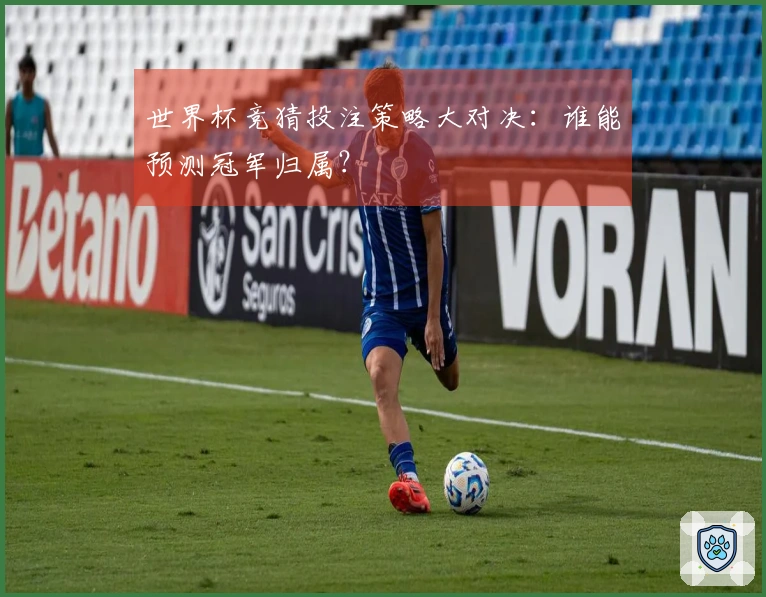 世界杯竞猜投注策略大对决：谁能预测冠军归属？