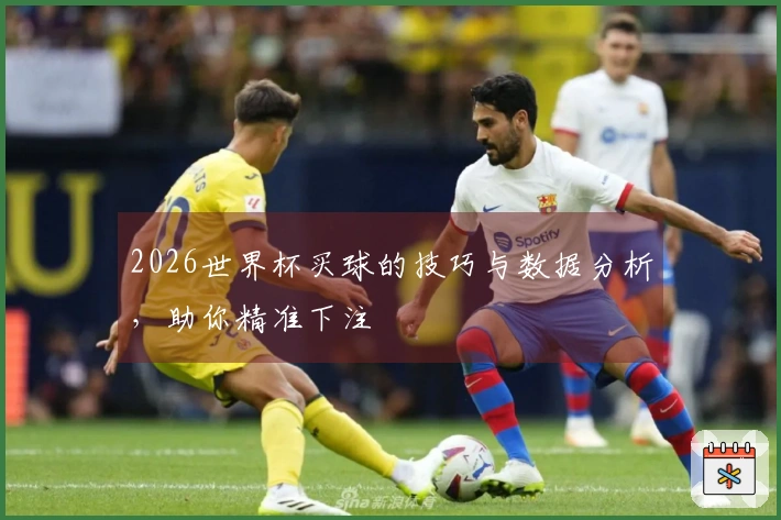 2026世界杯买球的技巧与数据分析，助你精准下注