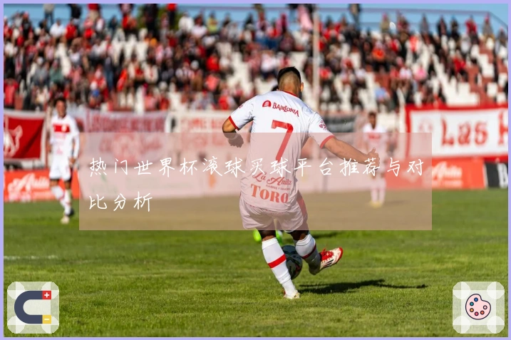 热门世界杯滚球买球平台推荐与对比分析