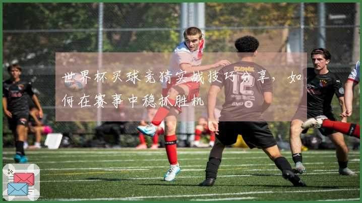 世界杯买球竞猜实战技巧分享，如何在赛事中稳抓胜机