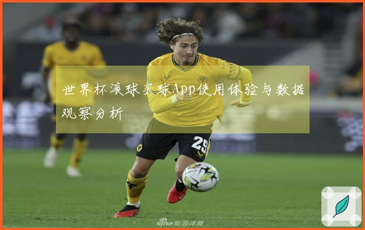 世界杯滚球买球App使用体验与数据观察分析