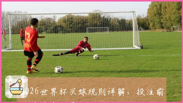 2026世界杯买球规则详解，投注前必看信息指导