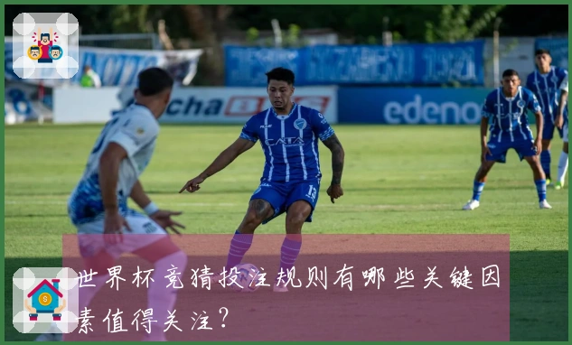 世界杯竞猜投注规则有哪些关键因素值得关注？
