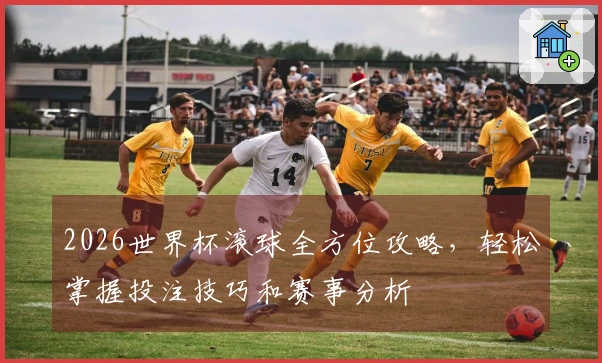 2026世界杯滚球全方位攻略，轻松掌握投注技巧和赛事分析