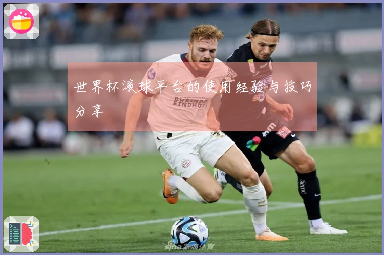 世界杯滚球平台的使用经验与技巧分享
